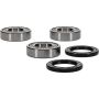 Pivot Works 25-1255-P Wheel Bearing Kit
