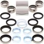 All Balls Racing 28-1125 19-23 Beta RR 2T 125 Swing Arm Bearing Kit