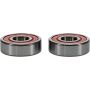 Pivot Works 25-1680-P Aprilia, Cobra, Suzuki Wheel Bearing Kit Premium Bearings