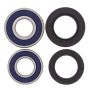 All Balls Racing 25-1113 1982 Honda CR125R Wheel Bearing Kit Rear