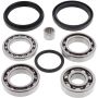 All Balls Racing 25-2072 14-17 Arctic Cat 700 Mudpro LTD Differential Bearing & Seal Kit Rear