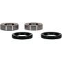 Pivot Works 25-1351-P Wheel Bearing Kit