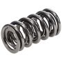 Chevy LS Spring Kit 1.295 w/Ti-Retainers