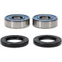 Pivot Works 25-1190-P Kawasaki, Yamaha Wheel Bearing Kit Premium Bearings