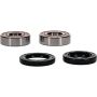 Pivot Works 25-1566-P Can-Am, Eton, Yamaha Wheel Bearing Kit Premium Bearings