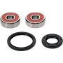 Pivot Works 25-1796-P Honda Wheel Bearing Kit Premium Bearings