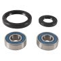 All Balls Racing 25-1746 00-04 Kawasaki KL250 Super Sherpa Wheel Bearing Kit Front