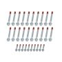 ALLSTAR PERFORMANCE ALL87005 LS Head Bolt Set 2004-06 Gen III