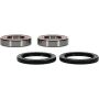 Pivot Works 25-1495-P Can-Am Wheel Bearing Kit Premium Bearings