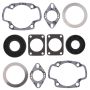 Vertex Pistons 711053X Vertex Gaskets 1975 Arctic Cat El Tigre 250 Z (Kawasaki) FA/2 Complete Gasket Kit w/ Oil Seals