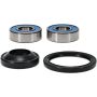 Pivot Works 25-1120-P Honda Wheel Bearing Kit Premium Bearings