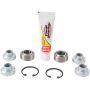 Pivot Works PWTAK-P01-000 2011 Polaris RZR XP 900 PW Rear Trailing Arm Bearing Kit
