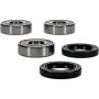 Pivot Works 25-1677-P BMW Wheel Bearing Kit Premium Bearings