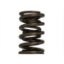 Ford Racing M-6513-17341 TVS-1734 Valve Spring (1)