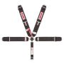 5pt Harness System CL P/U B/I Ind