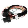 FAST Harness FAST Fan And Fuel Pump