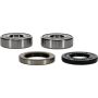 Pivot Works 25-1815-P BMW Wheel Bearing Kit Premium Bearings