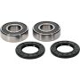 Pivot Works 25-1553-P 22-23 Gas-Gas MC85 1714 PW Wheel Bearing Kit Rear Upgrade Rep. Bearings