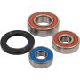 Pivot Works 25-1608-P Suzuki Wheel Bearing Kit Premium Bearings