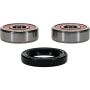 Pivot Works 25-1554-P Honda Wheel Bearing Kit Premium Bearings