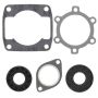 Vertex Pistons 711061A Vertex Gaskets 77-80 Arctic Cat Lynx 2000 S Complete Gasket Kit w/ Oil Seals