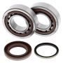 All Balls Racing 24-1105 05-12 KTM SX-F 250 Crank Shaft Bearing Kit