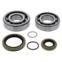 All Balls Racing 24-1118 08-11 Gas-Gas EC200 Crank Shaft Bearing Kit