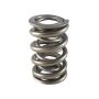 PAC RACING SPRINGS PACPAC-1329-1 1.500 Dual Valve Spring (1pk)
