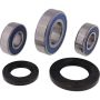 All Balls Racing 25-1393 Wheel Bearing Kits