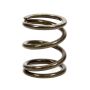 LANDRUM SPRINGS LAN4VB500 4in Coil Over Spring