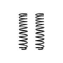 ICON 95230 21-24 Raptor Triple Rate Coil Spring Kit
