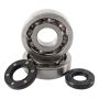 Hot Rods K227 02-07 Kawasaki KX 250 250cc Main Bearing & Seal Kit