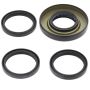 All Balls Racing 25-2009-5 97-01 Honda TRX250 Recon Differential Seal Only Kit Rear