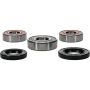 Pivot Works 25-1230-P Honda Wheel Bearing Kit Premium Bearings