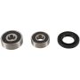 Pivot Works PWRWK-H28-001 Wheel Bearing Kit