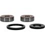 Pivot Works 25-1312-P Wheel Bearing Kit