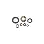 Cometic Gasket C7349OS Cometic 85-86 Honda ATC250R Oil Seal Kit