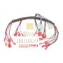 PAINLESS WIRING PWI30302 Dash Harness (Ele.Speedo