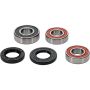 Pivot Works 25-1457-P Gas-Gas Wheel Bearing Kit Premium Bearings