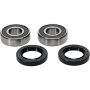 Pivot Works 25-1491-P BMW, Honda Wheel Bearing Kit Premium Bearings
