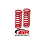 BMR Suspension SP056R Lowering Springs, Front, 2