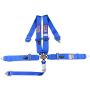 RJS SAFETY RJS1031703 SFI 16.1 CAM-LOCK HARNES S 3in PULL DOWN Lap Belt