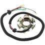 Arrowhead 340-58078 Yamaha 12V Stator