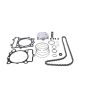 Vertex Pistons VTKTC23646B Vertex Piston 11-14 Kawasaki KX 250 F 250cc Top End Piston Kit