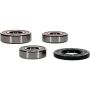 Pivot Works 25-1610-P Suzuki Wheel Bearing Kit Premium Bearings