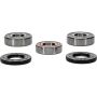 Pivot Works 25-1262-P Suzuki Wheel Bearing Kit Premium Bearings