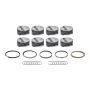 Mahle Motorsport 930201125 Piston Kit
