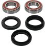 Pivot Works 25-1108-P Wheel Bearing Kit