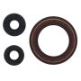 Vertex Pistons 822200 Vertex Gaskets 2016 Polaris ACE 900 EFI EPS Oil Seal Kit