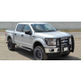Go Rhino 3295MC 15-17 Ford F-150 (Excl. ACC Models) 3000 Series StepGuard Center Grille + Brsh Grd - Chrome